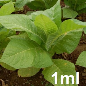 Aroma TPA DK Tobacco Base 1ml (n*9)