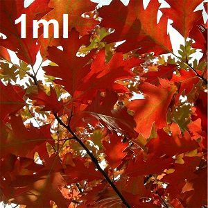 Aroma TPA Red Oak 1ml (*146)