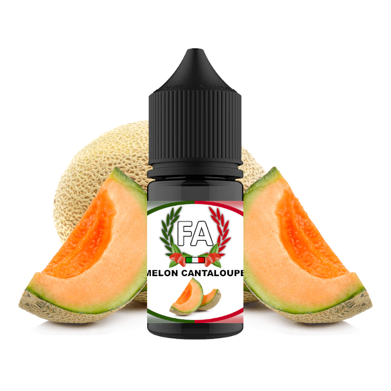 Melon Cantaloupe FA Flavor Artisan Aroma 30ml (nº14)